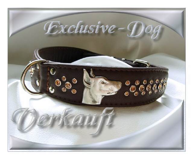 Bild vergr&ouml;&szlig;ern