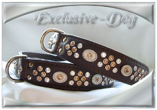 Hundehalsband BOSSED