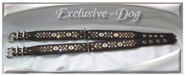 Bild vergr&ouml;&szlig;ern