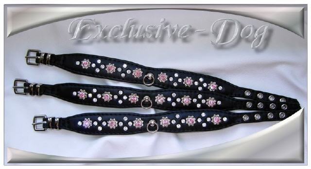 Bild vergr&ouml;&szlig;ern