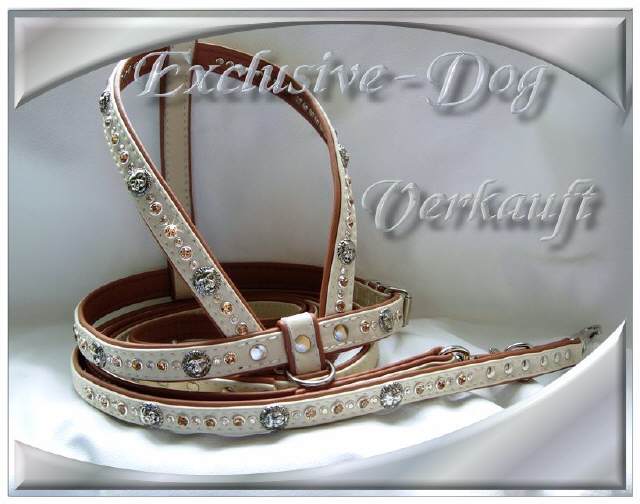 Bild vergr&ouml;&szlig;ern