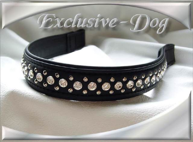 Bild vergr&ouml;&szlig;ern