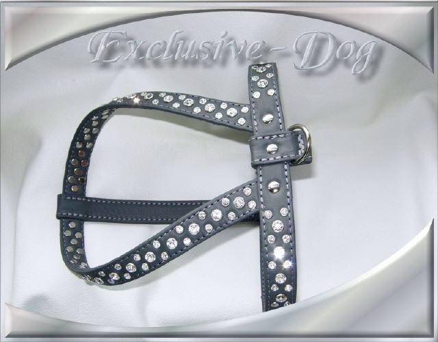 Bild vergr&ouml;&szlig;ern