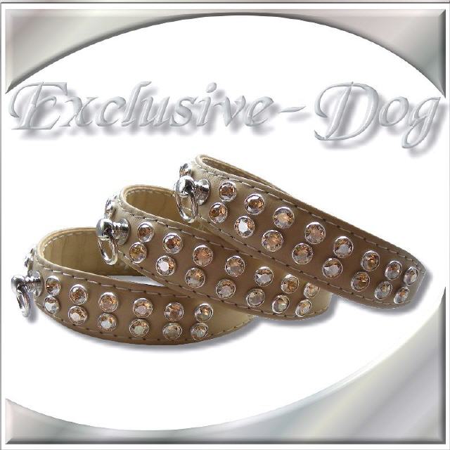 Prager Ralltler-Chihuahua kleine Hundehalsb&auml;nder