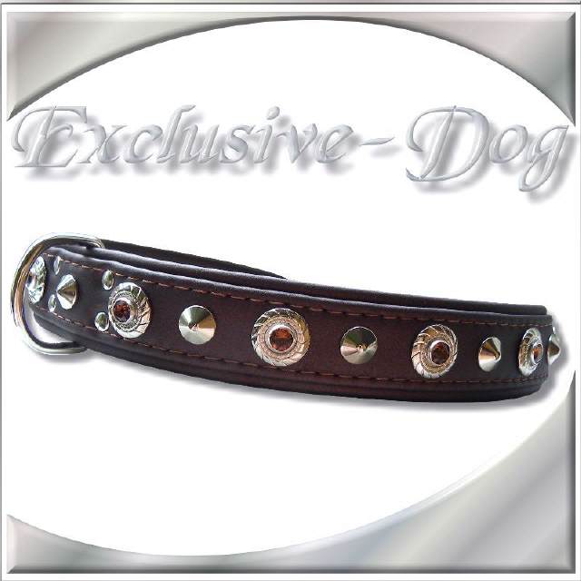 Rhodesian Ridgeback-Weimaraner-Shar-Pei