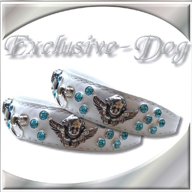 " Hundehalsband SPACY "