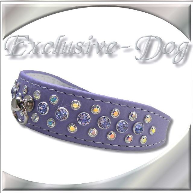 Hundehalsband TO BLAZE