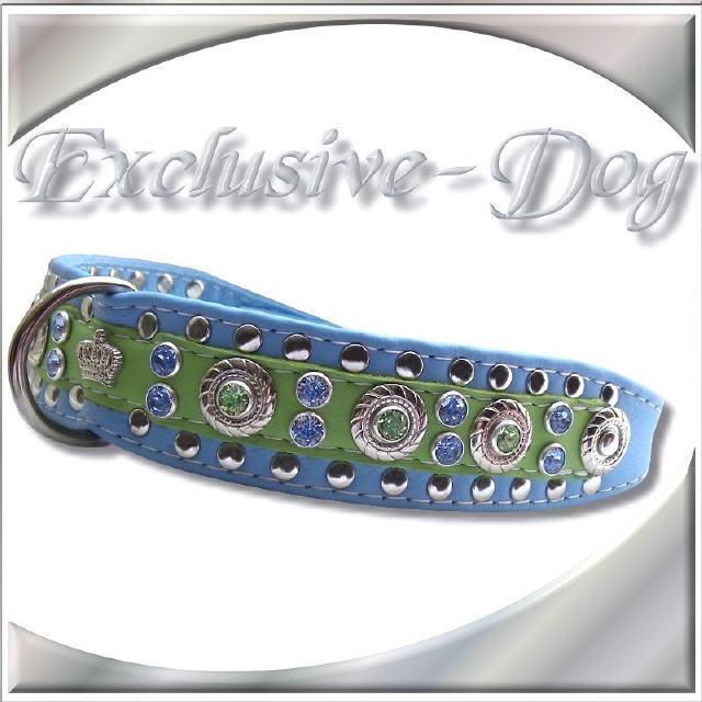 " Hundehalsband WORN "